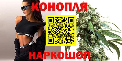 индика Аргун