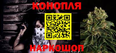 индика Аргун