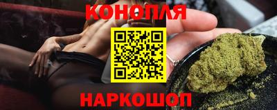 индика Аргун