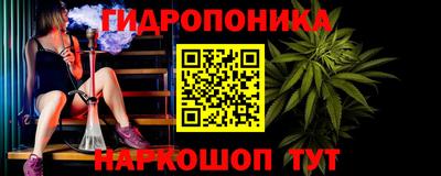 индика Аргун