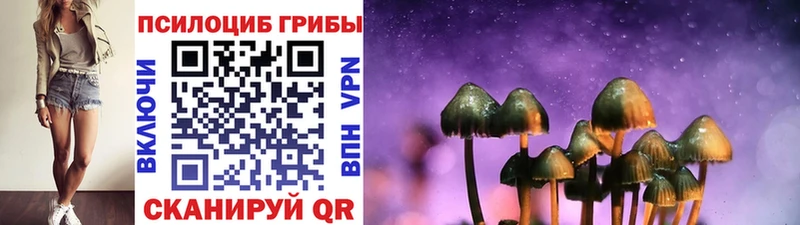 Псилоцибиновые грибы Psilocybine cubensis цены наркотик Апшеронск