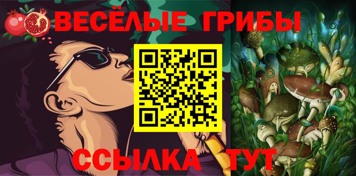 Лсд 25 Апшеронск