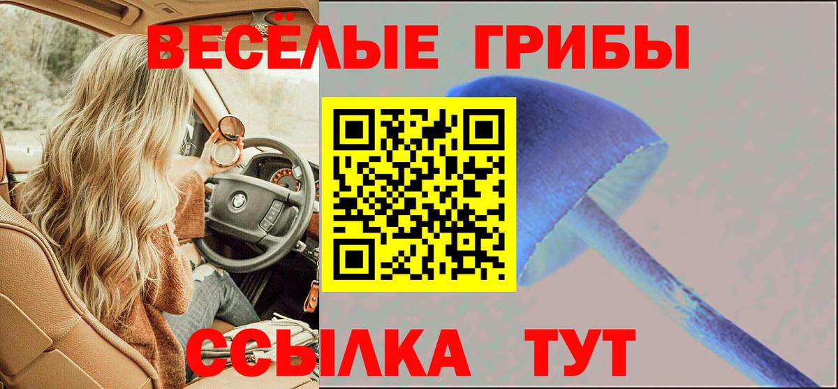 Псилоцибиновые грибы ЛСД  купить   Апшеронск 