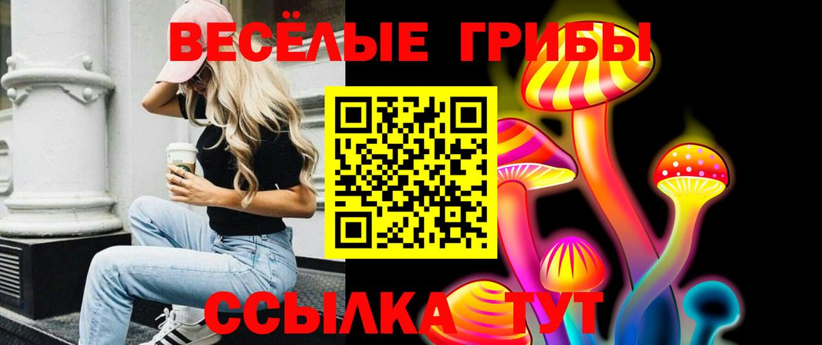 где найти наркотики  Галлюциногенные грибы MAGIC MUSHROOMS  Вход с VPN  Апшеронск  Псилоцибиновые грибы Magic Shrooms 